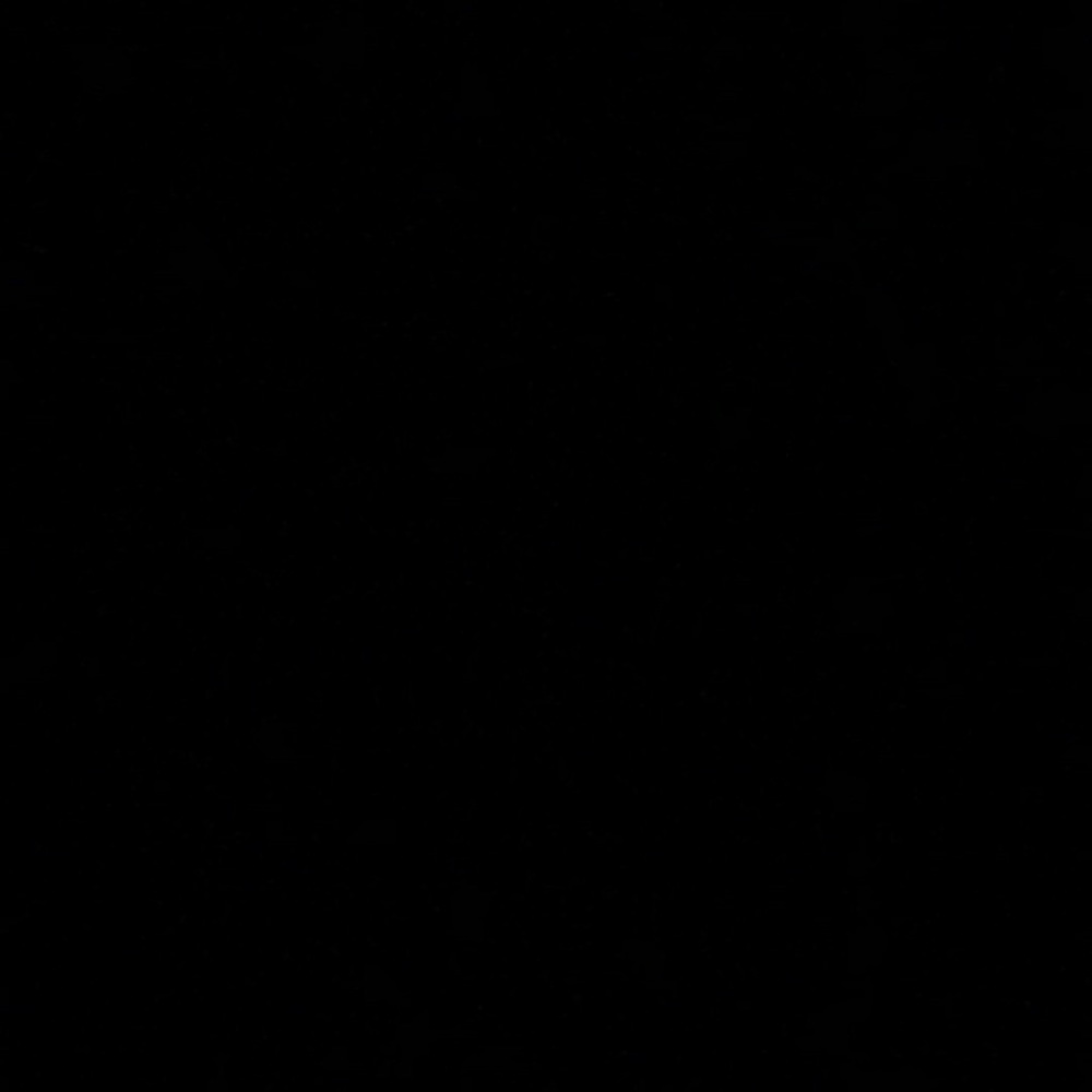 Meet your Posher, Paige